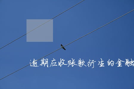 逾期应收账款衍生的金融资产 逾期应收账款衍生的金融资产