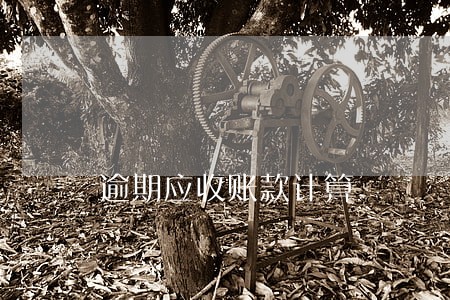 逾期应收账款计算 逾期应收账款计算