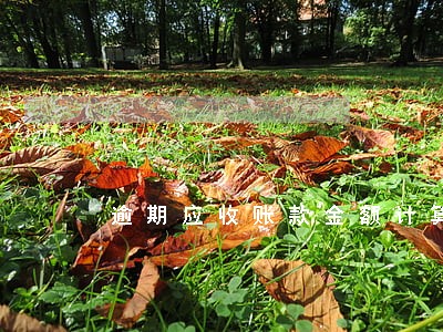 逾期应收账款金额计算公式