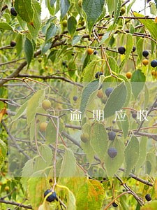 逾期应收账款风险评估报告 逾期应收账款风险评估报告