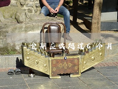 逾期应收超过6个月 逾期应收超过6个月