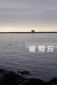 逾期应诉通知 逾期应诉通知