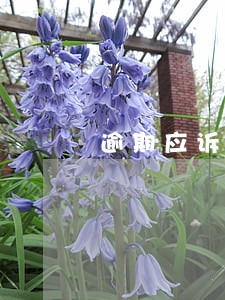 逾期应诉通知短信 逾期应诉通知短信