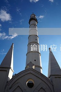 逾期应该先还花呗还是信用卡
