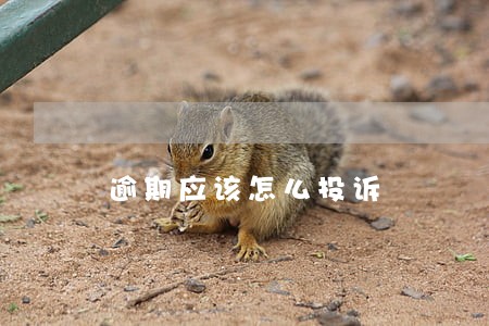 逾期应该怎么投诉 逾期应该怎么投诉