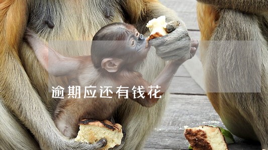 逾期应还有钱花 逾期应还有钱花