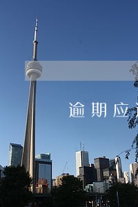 逾期应还金额 逾期应还金额