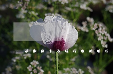 逾期废卡去银行会被抓吗 逾期废卡去银行会被抓吗