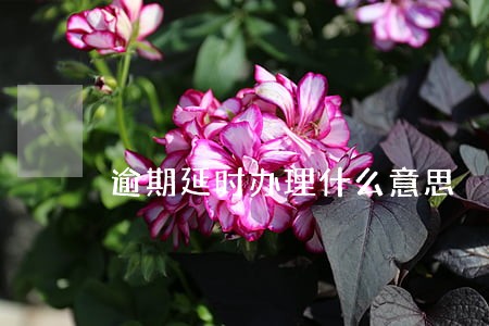 逾期延时办理什么意思 逾期延时办理什么意思