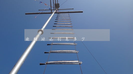 逾期延迟利息多少 逾期延迟利息多少