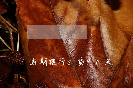 逾期建行e贷90天
