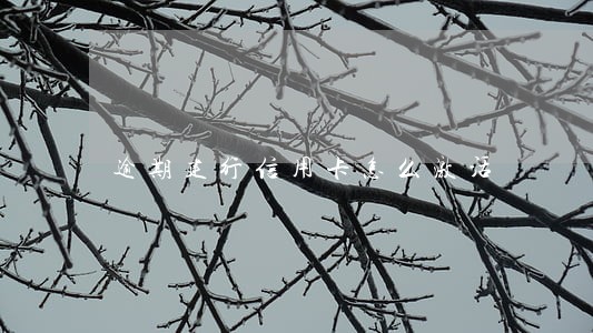 逾期建行信用卡怎么激活 逾期建行信用卡怎么激活