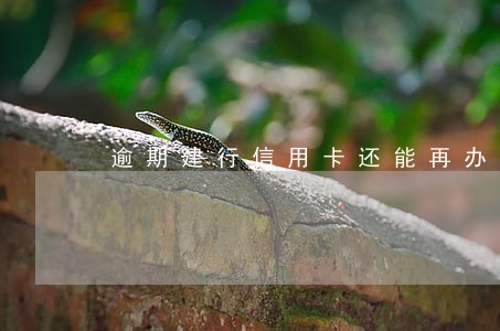 逾期建行信用卡还能再办银行卡吗 逾期建行信用卡还能再办银行卡吗