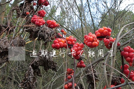 逾期建行卡不能用了 逾期建行卡不能用了