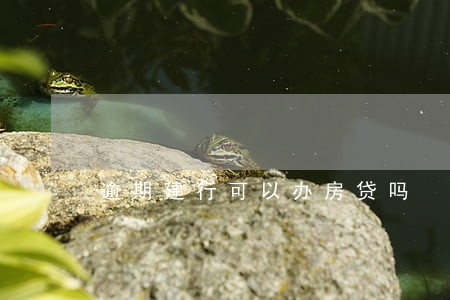 逾期建行可以办房贷吗 逾期建行可以办房贷吗