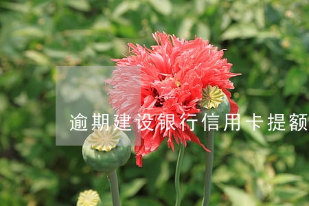 逾期建设银行信用卡提额 逾期建设银行信用卡提额