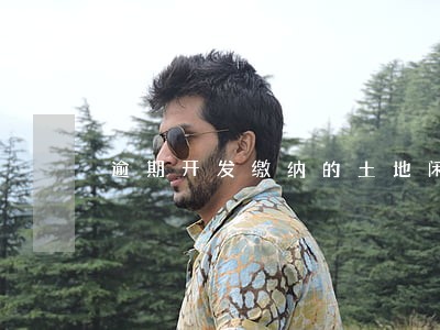 逾期开发缴纳的土地闲置费