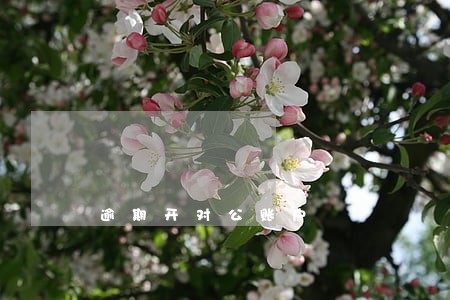 逾期开对公账户
