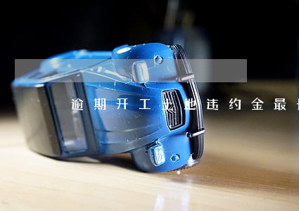 逾期开工土地违约金最长期限
