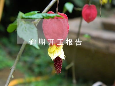 逾期开工报告 逾期开工报告