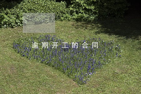 逾期开工的合同