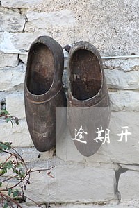 逾期开庭执行后果 逾期开庭执行后果
