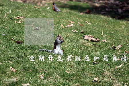 逾期开庭未到通知是真的吗 逾期开庭未到通知是真的吗