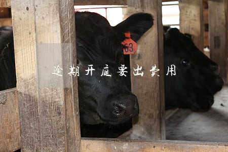 逾期开庭要出费用 逾期开庭要出费用