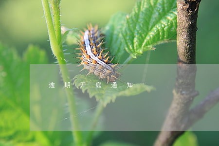 逾期开庭通知 逾期开庭通知