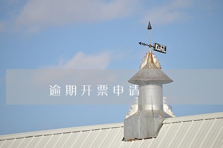 逾期开票申请 逾期开票申请