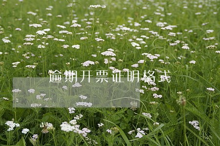 逾期开票证明格式 逾期开票证明格式