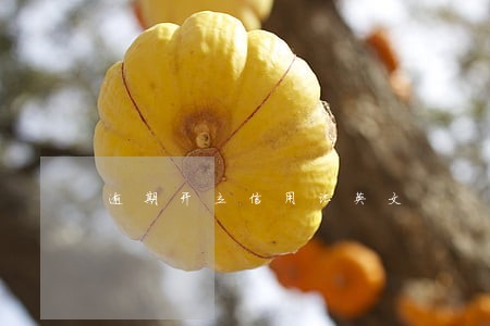逾期开立信用证英文 逾期开立信用证英文