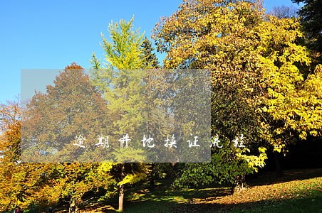逾期异地换证流程 逾期异地换证流程