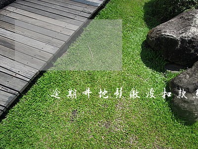逾期异地预缴没扣款怎么作废 逾期异地预缴没扣款怎么作废