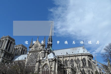 逾期异议申请具体程序