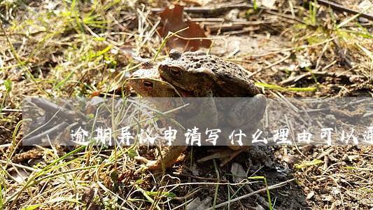 逾期异议申请写什么理由可以通过