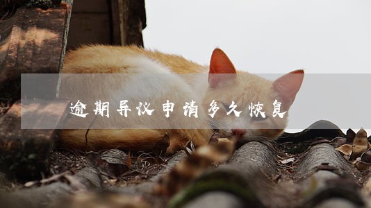 逾期异议申请多久恢复