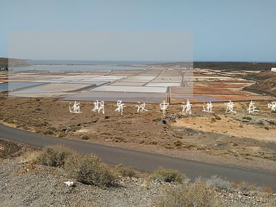 逾期异议申请进度在哪里差