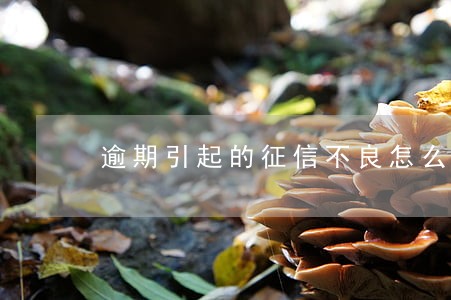 逾期引起的征信不良怎么贷款 逾期引起的征信不良怎么贷款