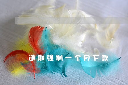 逾期强制一个月下款 逾期强制一个月下款