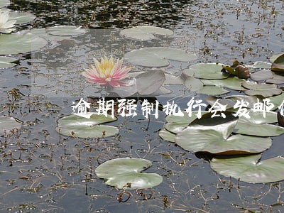 逾期强制执行会发邮件给你吗 逾期强制执行会发邮件给你吗