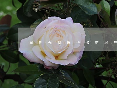 逾期强制执行冻结房产 逾期强制执行冻结房产
