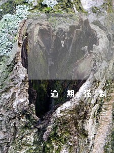 逾期强制执行利息615 逾期强制执行利息615