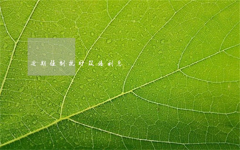 逾期强制执行双倍利息 逾期强制执行双倍利息