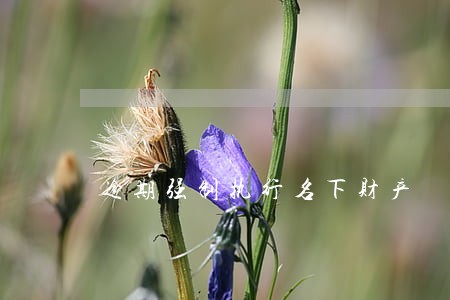 逾期强制执行名下财产 逾期强制执行名下财产