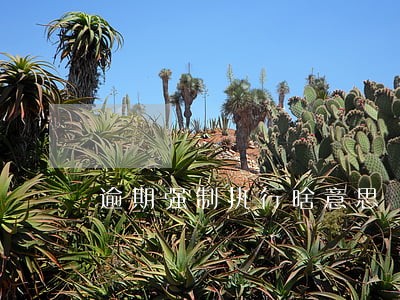 逾期强制执行啥意思 逾期强制执行啥意思
