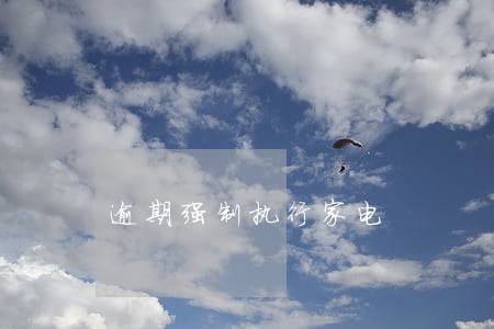 逾期强制执行家电 逾期强制执行家电