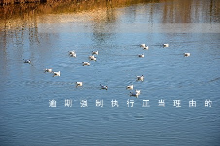 逾期强制执行正当理由的答复 逾期强制执行正当理由的答复