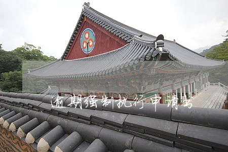 逾期强制执行申请书 逾期强制执行申请书