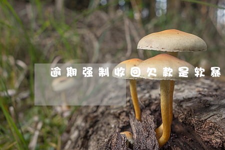 逾期强制收回欠款是软暴力吗 逾期强制收回欠款是软暴力吗